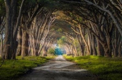 地球上最可怕的地震 地球上最可怕的地震的