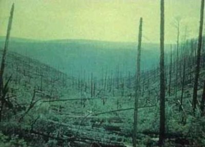 新疆五大未解之谜 巴尔鲁克山野人真的存在吗?