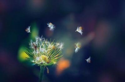 社保个人缴纳社保怎么缴费?社保个人缴纳社保比例是多少?