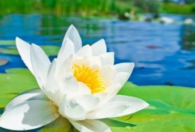 存款机存钱怎么操作银行存款机怎么放钱