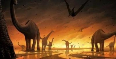 斗吻角龙:恐龙下的一个科目角龙科的小型恐龙