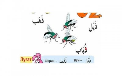 ​巨蟹座和白羊座怎样才能相处好 巨蟹座如何挽回白羊座