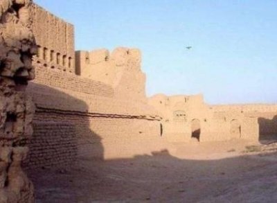 红火蚁怕什么?为什么不怕烫水?