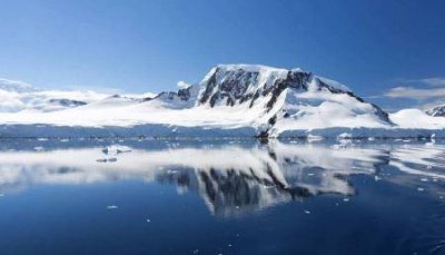 地球上最好看的女明星,连沙特阿拉伯王子都想娶她