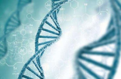 福田孝行杀人案纪实:18岁福田孝行奸杀年轻母女诉讼9年被判死刑