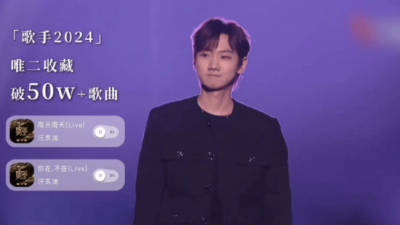 汪苏泷晒《歌手2024》收官总结