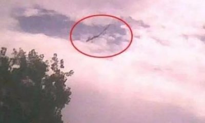 灵异事件 公交车?公交车灵异事件 相貌清秀素衣女子引我到她墓前