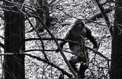 ​在长沙做18年民警肚里吞了多少谜团