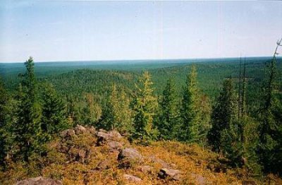 ​兰博基尼贴施华洛世奇水晶,修复撞坏的兰博基尼