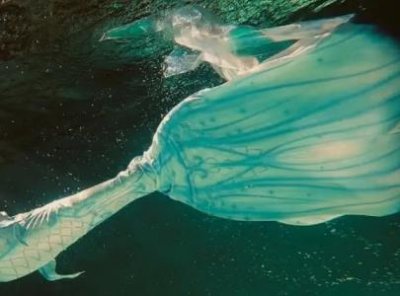 ​十大最长山脉第一名：南美洲，安第斯山，约7500公里