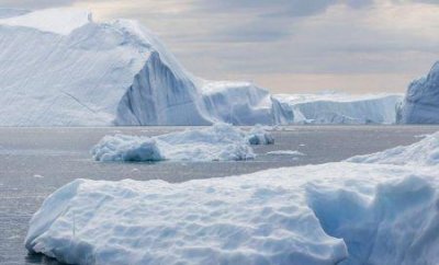 ​王菲结过几次婚 王菲和几个人结婚过