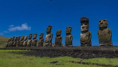 煮豆燃萁的主人公 煮豆燃萁的主人公是哪位?的答案