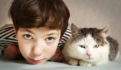 猫咪高冷不亲人,试试这4个方法,它能让你的猫爱上你 猫咪不亲人怎么训练