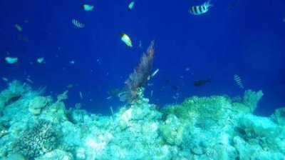 风景好的国外旅游景点中国附近人少景美小众景点