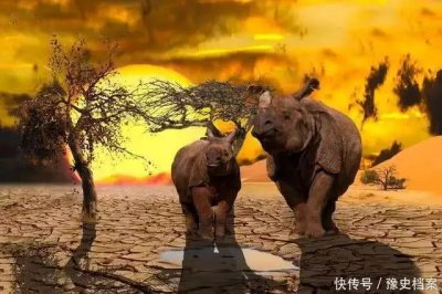 ​科学家警告：第六次生物灭绝已来临各种迹象表明这不是危言耸听