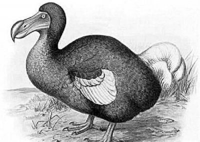 ​早已灭绝的动物又复活出现了