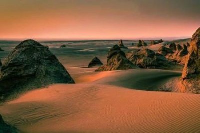 ​世界十大稀有透明动物 最稀有的十大杂交动物