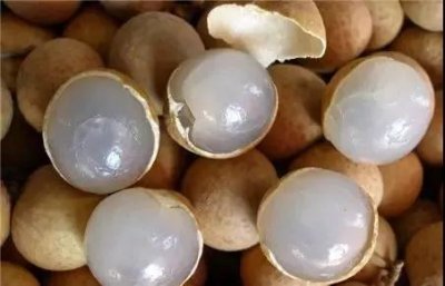 白酒泡鲜龙眼(白酒泡干龙眼有什么功效)