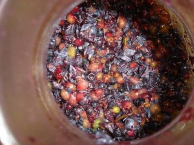 自酿葡萄酒有甲醛吗(怎样去除自酿葡萄酒中的甲醛)