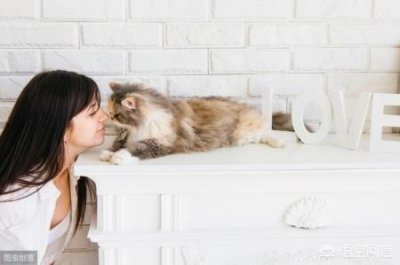 ​宠物狗长得像四脚蛇的叫什么？