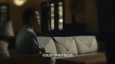《真相背后》第1集讲的是什么,《真相背后》第1集剧情介绍