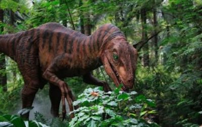 ​地球上五种不死神兽水熊虫在太空中也能生计