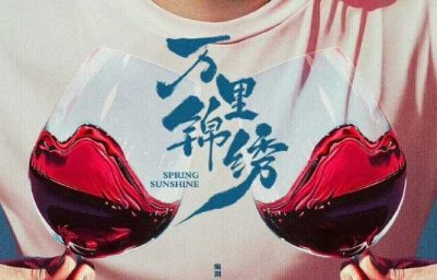 万里锦绣电视剧讲的是什么,万里锦绣剧情简介