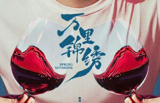 万里锦绣电视剧讲的是什么,万里锦绣剧情简介