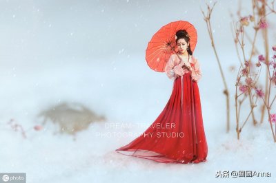 《国公夫人作死日常》