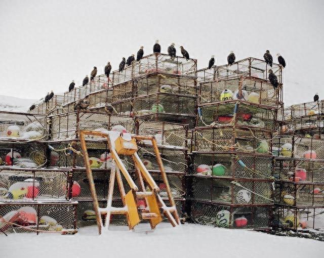 世界上最危险的职业之一：阿拉斯加的捕蟹人