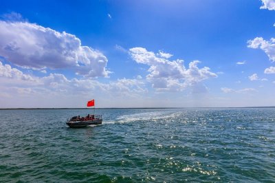 ​红碱淖：中国最大沙漠淡水湖，世界最大的遗鸥繁殖与栖息地