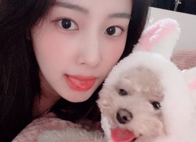 还珠格格第三部知画(为何说知画是真的很爱永琪)