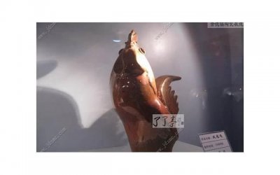 如何能够挽留一个男人的心,如何让男人别离去?