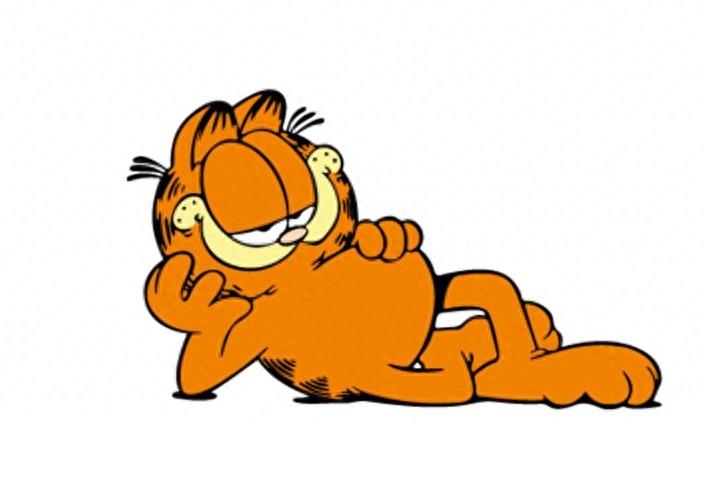 世界最红的猫:加菲猫原型原来是异国短毛猫