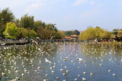 盘点昆明城区有哪些游玩的地方?