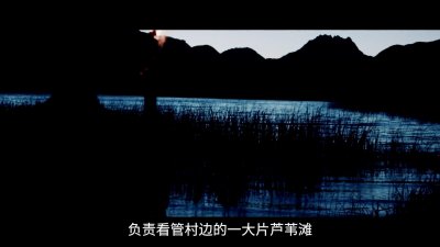 江苏射阳惊现“30米巨蟒”,在芦苇深处摇头晃脑,村民:渡劫升天