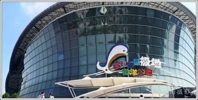 异彩纷呈姿态万千的天津海昌极地海洋世界