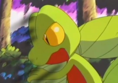 《精灵宝可梦》图鉴252:嘴叼树枝的御三家男神-木守宫