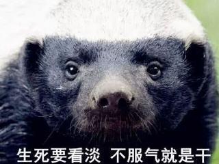 囧哥:曲折!男子丢钱报警被查出招嫖遭仙人跳,丢的钱是主动付的