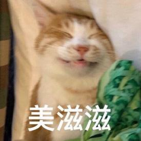 囧哥:曲折!男子丢钱报警被查出招嫖遭仙人跳,丢的钱是主动付的