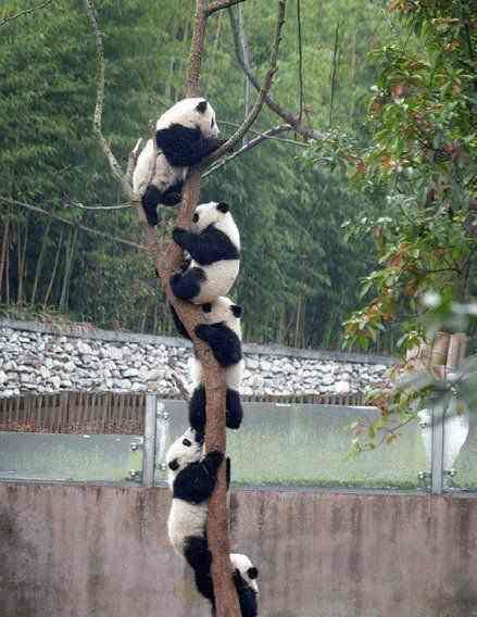 囧哥:曲折!男子丢钱报警被查出招嫖遭仙人跳,丢的钱是主动付的