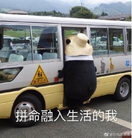 囧哥:曲折!男子丢钱报警被查出招嫖遭仙人跳,丢的钱是主动付的