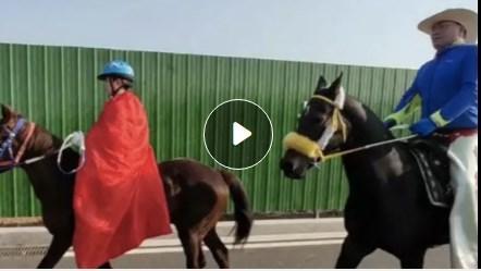 囧哥:曲折!男子丢钱报警被查出招嫖遭仙人跳,丢的钱是主动付的