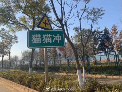 囧哥:曲折!男子丢钱报警被查出招嫖遭仙人跳,丢的钱是主动付的