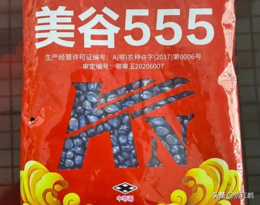 国内高产玉米种子排行最新,5个优质丰产玉米品种推荐