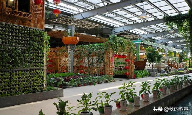 北京蟹岛度假村总占地3300亩,著名景点有 城市海景水上乐园