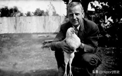 公鸡斩首后成“不死鸡”,无头存活18个月,还长了5斤,这是为何