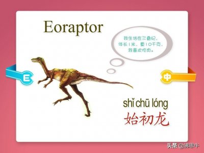 《恐龙图谱》带你认识各种恐龙