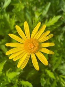 ​西安最好的医院排名