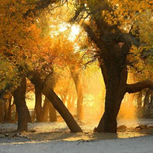 人死后的七天,真会回家看望吗?专家给出了两个答案?